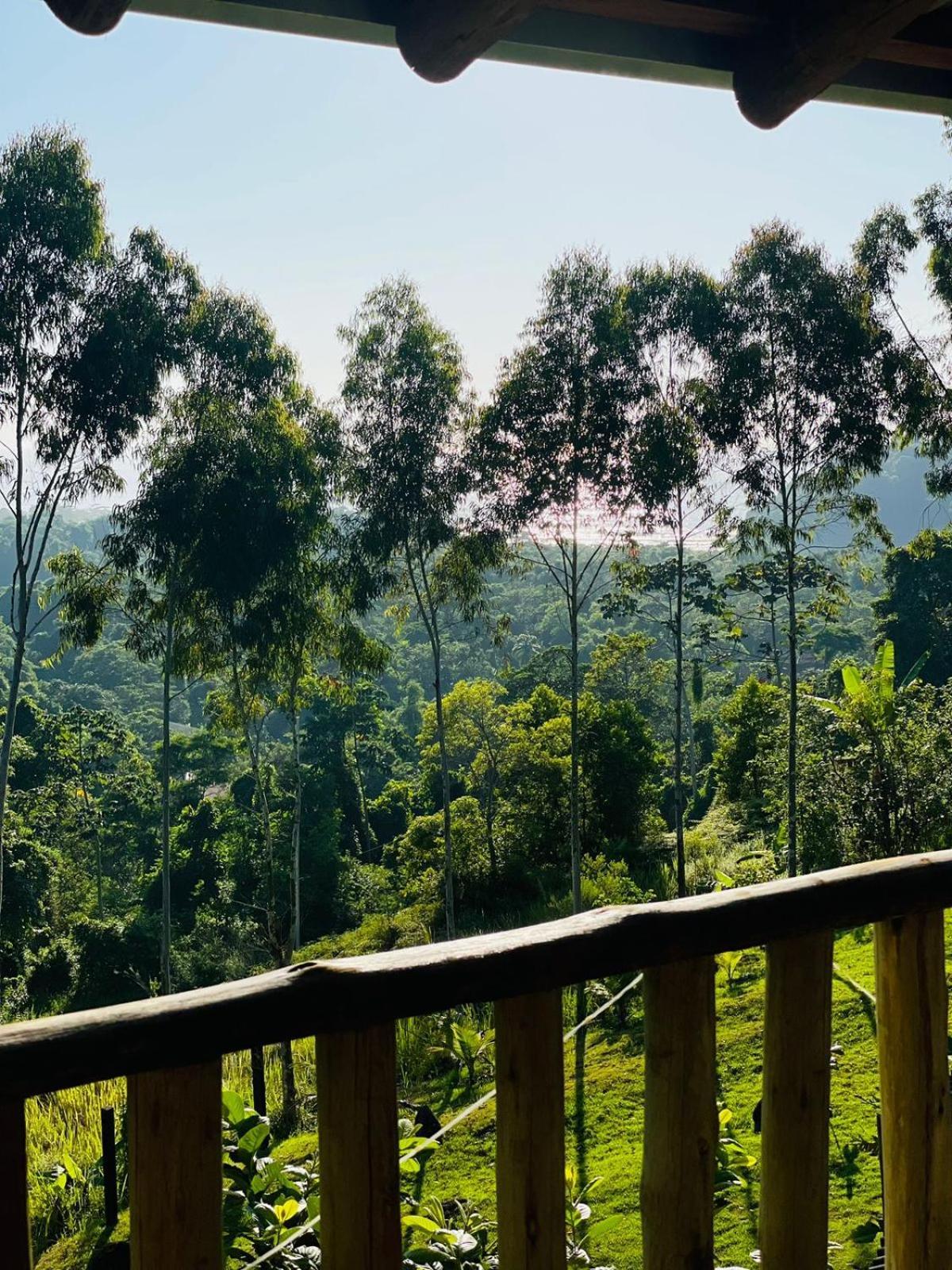 Refugio De Itamambuca Pensão